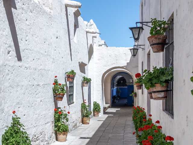 Tours 3 Arequipa City Tour Campiña 1/2 Day