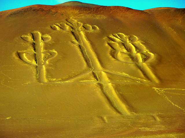 Tour Huacachina Ballestas Island 2 Days